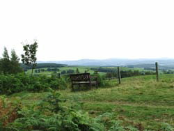 Viewpoint Bench